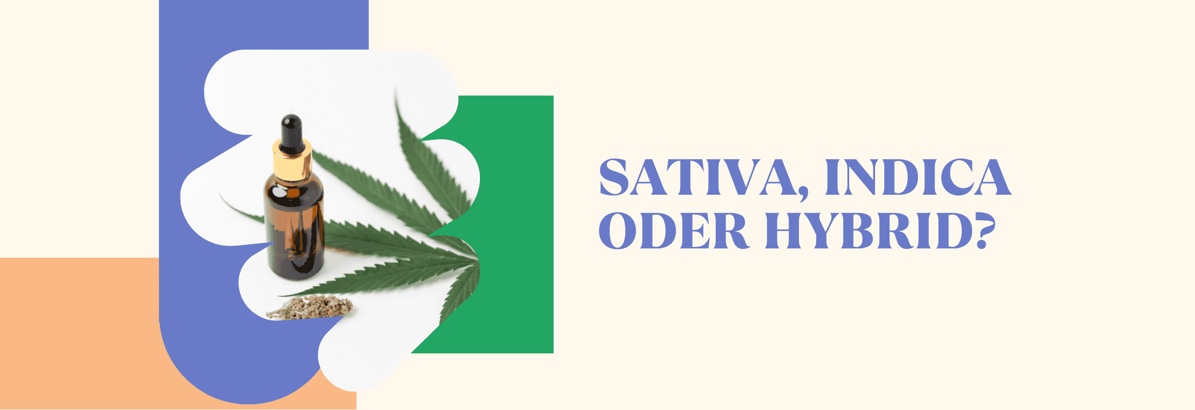 Flasche mit Sativa, Indica oder Hybrid-Öl neben Hanfblättern
